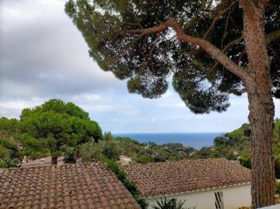 Lesal Villas Rentals, Villa Mar Azul, Tossa De Mar Bagian luar foto